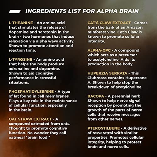 ONNIT Alpha Brain (60ct) - Over 1 Million Bottles Sold - Premium Nootropic Brain Supple ONNIT Au supplements