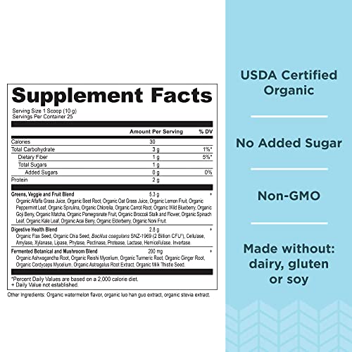 Ancient Nutrition Organic Watermelon Supergreens, 8.82 OZ Ancient Nutrition Au supplements