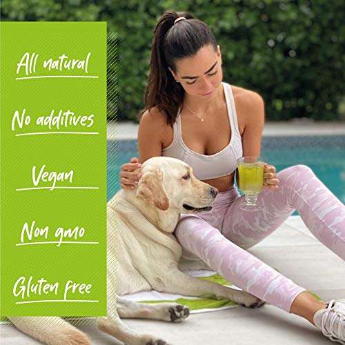 Dr. Zisman ZT Slimming - Matcha-Coconut Detox Blend, Weight Loss Tea with Antioxidant Effects Dr. Zisman ZT Slimming Tea Au supplements