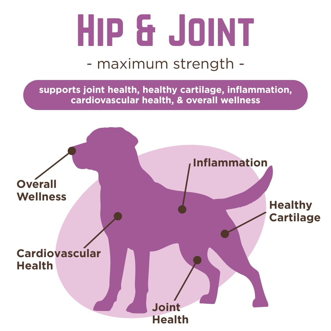 Dr. Joseph's VetPro Complete Dog Hip & Joint Supplement for Arthritis Pain Relief – High-Strength Glucosamine & Chondroitin Chews for Senior Dogs – Vet Formulated Daily Treats, Chicken Flavor, 60 Ct VetPro Complete Au supplements