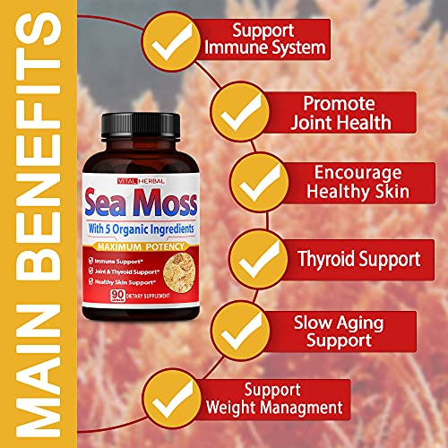 VITAL HERBAL Irish Sea Moss Capsules Equivalent to 5450mg - Maximum Potency VITAL HERBAL Au supplements