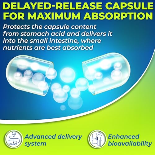 Probiotics with Digestive Enzymes and Prebiotic for Women and Men - 3-In-1 Vegan Probiotic SUPPLEMENTS STUDIO Au supplements