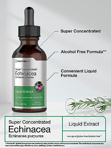 Echinacea Drops Liquid Extract | 2 fl oz | Super Concentrated Tincture | Alcohol Free Horbäach Au supplements