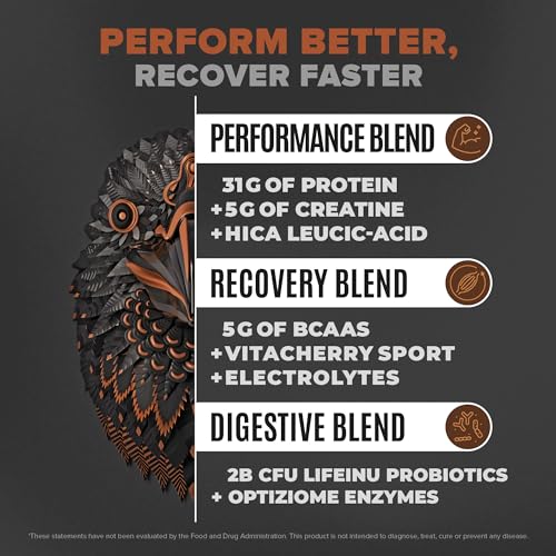 Birdman Falcon Performance Vegan Protein Powder, 31g Protein, 5g Creatine, 5g BCAA BIRDMAN Au supplements