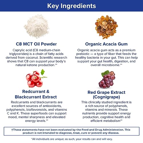 Gundry MD MCT Wellness Powder to Support Energy, Ketone Production and Brain Health Gundry MD Au supplements