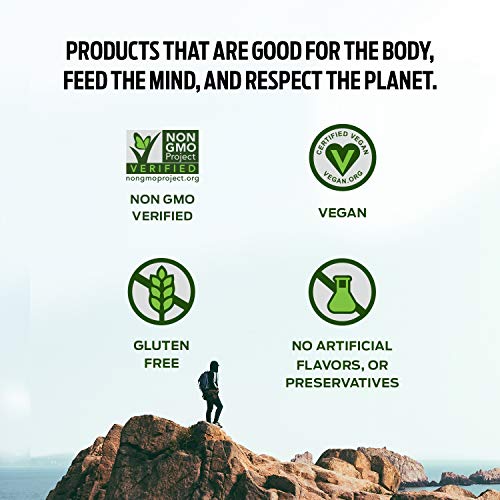 Vega Protein Made Simple Protein Powder, Strawberry Banana - Stevia Free, Vegan Vega Au supplements