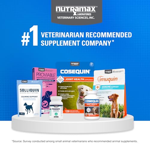 Nutramax Cosequin for Dogs Joint Health Supplement, Contains Glucosamine, Plus Chondroitin, MSM and Omega-3s, Supports Joint and Skin and Coat Health, Soft Chews, 120 Count Nutramax Laboratories Au supplements