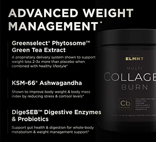 Super Collagen Burn - Premium Multi Collagen for Women w. ACV, Hyaluronic Acid, KSM66 TERRA ELMNT Au supplements