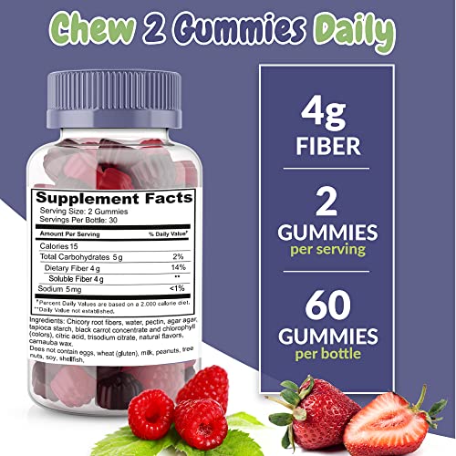 Fiber Prebiotic Gummies Sugar Free, Keto Friendly 2 Pack | Gut Cleansing, Digestive Health Health Supplied Au supplements