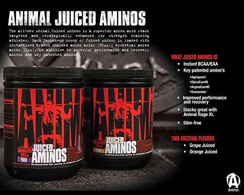 Animal Creatine Chews Tablets - Enhanced Creatine Monohydrate with AstraGin to Improve Animal Au supplements