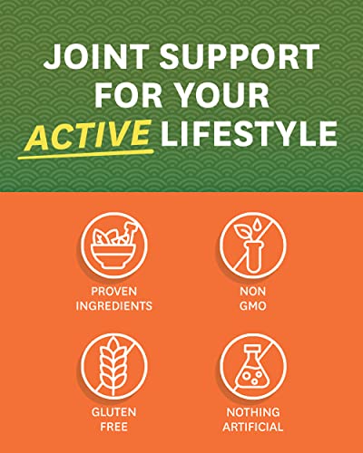 Zenwise Health Glucosamine Chondroitin MSM - Joint Support Supplement with Turmeric Zenwise Health Au supplements