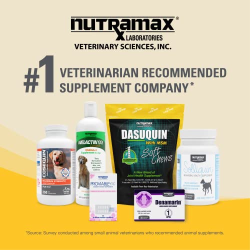Nutramax Laboratories Dasuquin with MSM Joint Health Supplement for Large Dogs Nutramax Laboratories Au supplements
