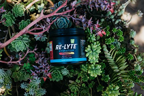 REDMOND Re-Lyte Hydration Electrolyte Mix (Strawberry Lemonade) REDMOND Au supplements