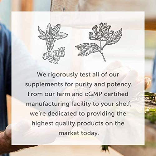 Global Healing Lithium Orotate Brain Health Supplement - Supports Mood Global Healing Center Au supplements