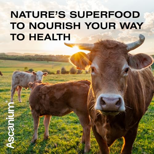Colostrum Powder - Grass-Fed 40% IgG Colostrum Supplement Powder - Bovine Ascanium Au supplements