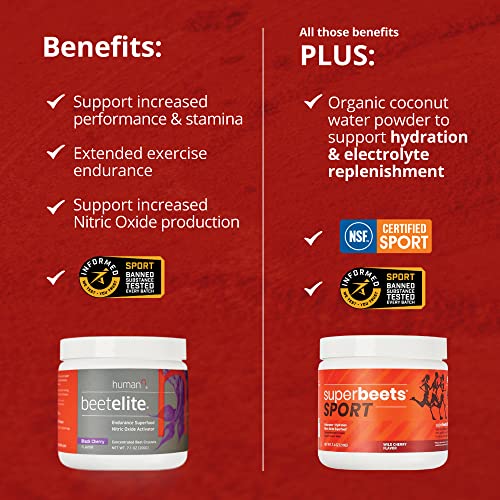 humanN SuperBeets Sport Pre Workout Powder – NSF Certified for Sport – Caffeine Free humanN Au supplements