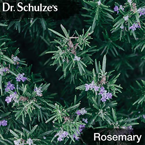 Brain Formula 2 oz. - Vegan and Wild-Harvested | Stimulates Circulation and and Improved Dr. Schulze's Au supplements