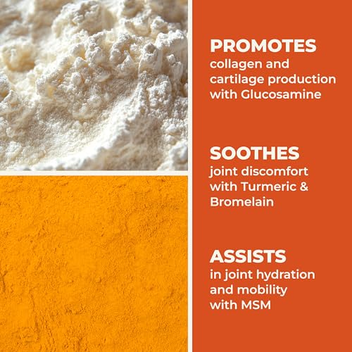 LifeSeasons Mobili-T - Joint Support Supplement - Reduces Aches & Discomforts - Increase Range of Motion - Rebuild Tissue & Cartilage - MSM Chondroitin Collagen Glucosamine & Turmeric - 120 Capsules LifeSeasons Au supplements