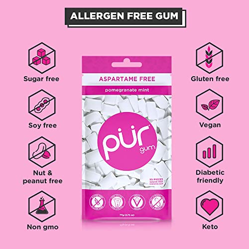 PUR Gum | Aspartame Free Chewing Gum | 100% Xylitol | Natural Pomegranate PUR Au supplements
