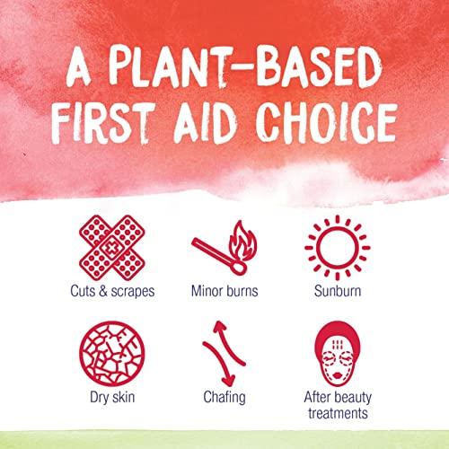 Boiron Calendula Cream for First Aid, Minor Burns, Cuts, Scrapes, Insect Bits and Sunburn - 2.5 oz Boiron Au supplements
