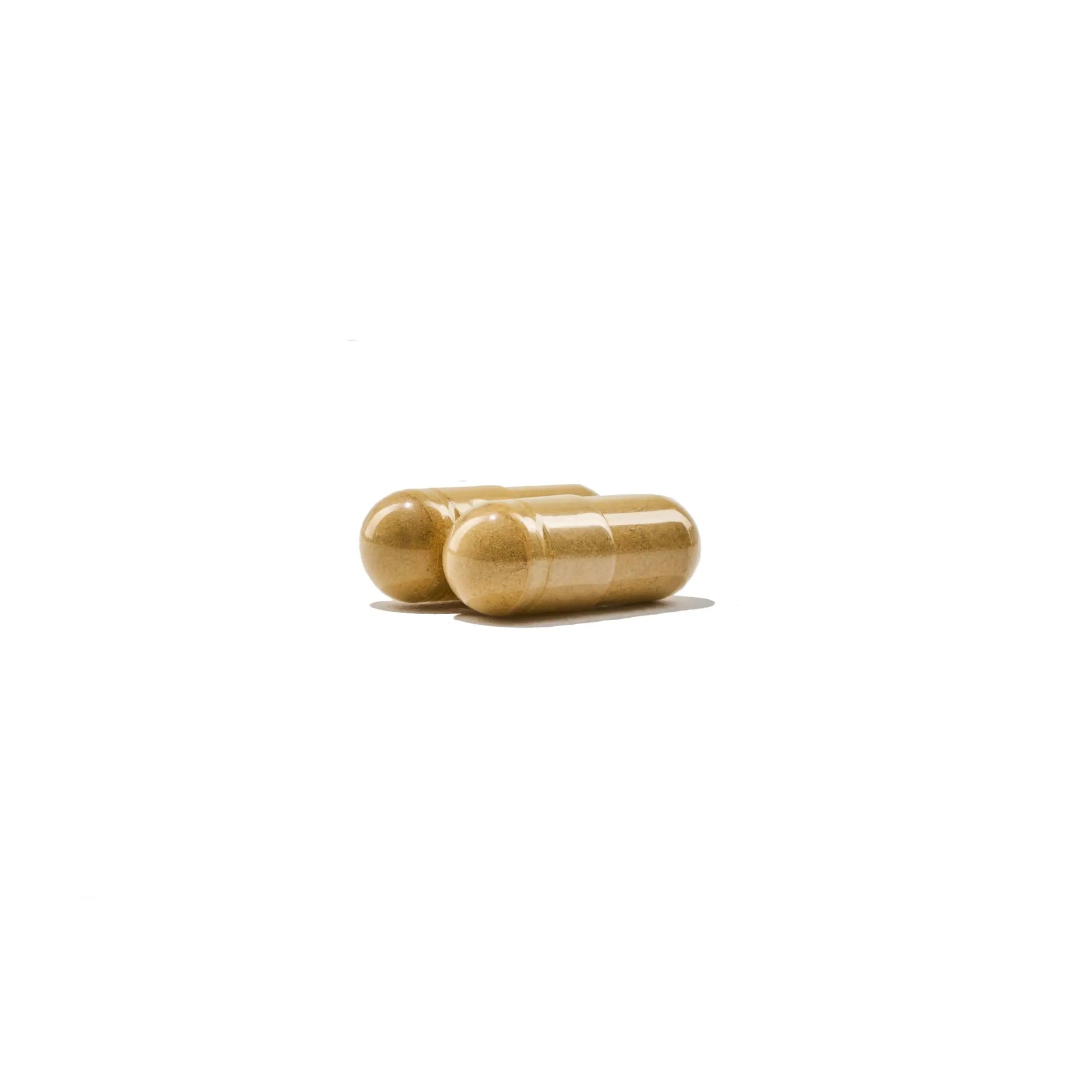 NatureWise Multivitamin for Men - Daily Male Support - Minerals & Herbs for Energy, Performance, Immunity - with Vitamin A, C, D, B-Complex NatureWise Au supplements