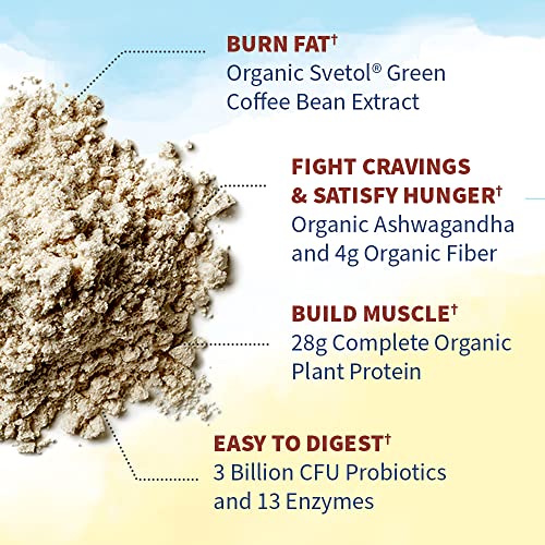 Garden of Life Raw Organic Fit Vegan Protein Powder Coffee, 28g Plant Based Protein Garden of Life Au supplements