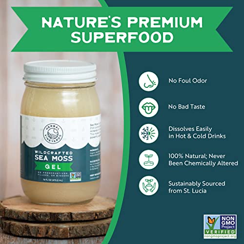 Herbal Vineyards Natural Organic Wildcrafted Gold Raw Sea Moss Gel for Immune Support Herbal Vineyards Au supplements