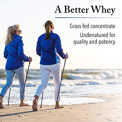 Whey Factors by Natural Factors, Grass Fed Whey Protein Concentrate, Aids Muscle Natural Factors Au supplements