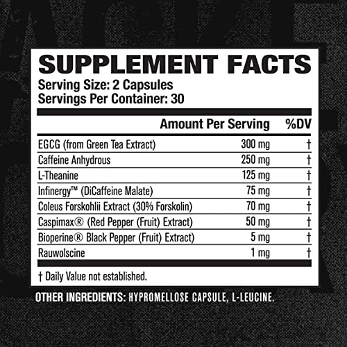 Jacked Factory Thermo XT Thermogenic Fat Burner - Cutting Weight Loss Supplement Jacked Factory Au supplements