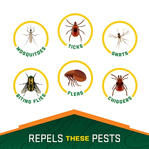 Repel 100 Insect Repellent, Pump Spray, 4-Fluid Ounces, 10-Hour Protec Repel Au supplements