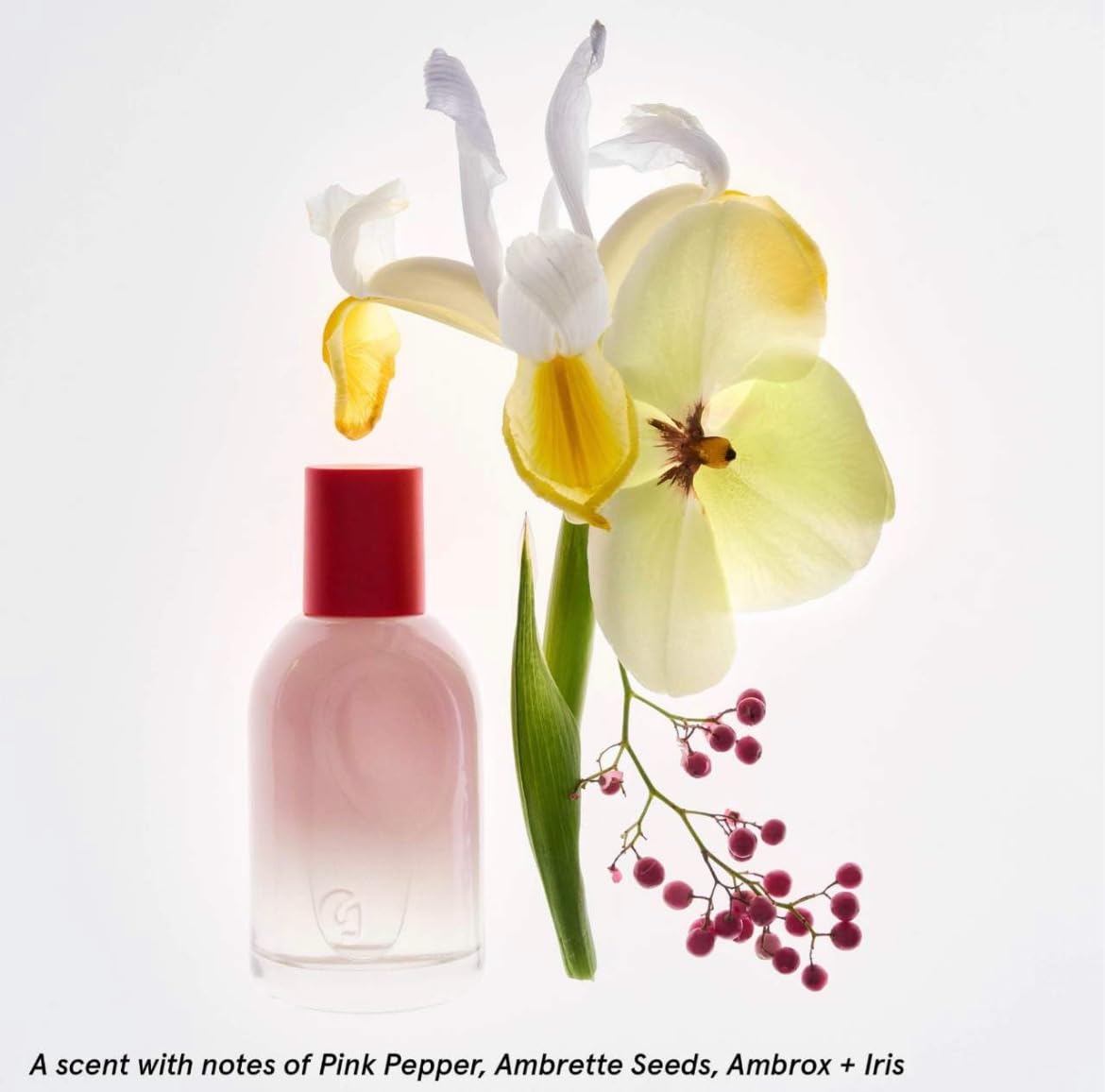 Glossier You Limited Edition Two of You Eau de Parfum Holiday Gift Set - Full Size Spray (1.7oz / 50ml) and Travel Size Rollerball (0.27oz / 8ml) Glossier Au supplements