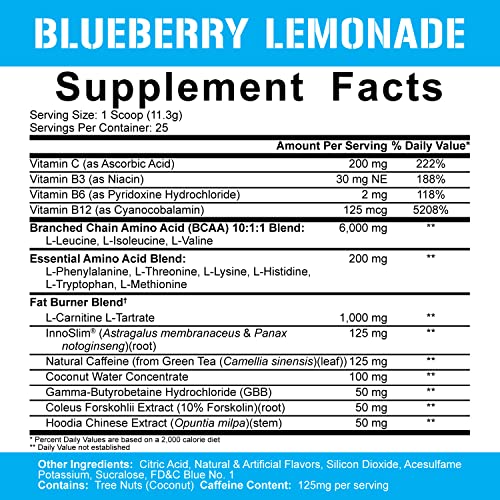 5% Nutrition Rich Piana AllDayYou Shred BCAA Powder | Amino Acid Supplement 5% Nutrition Au supplements
