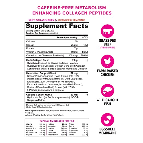 Multi Collagen Burn: Multi-Type Hydrolyzed Collagen Protein Peptides with Hyaluronic Acid Vitauthority Au supplements