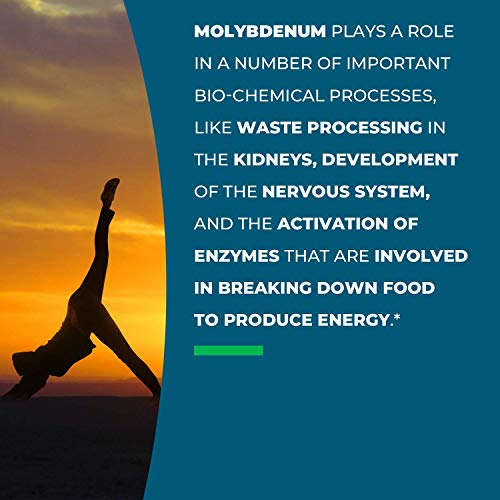 Seeking Health Molybdenum 500, Molybdenum Glycinate Chelate Supplement Seeking Health Au supplements