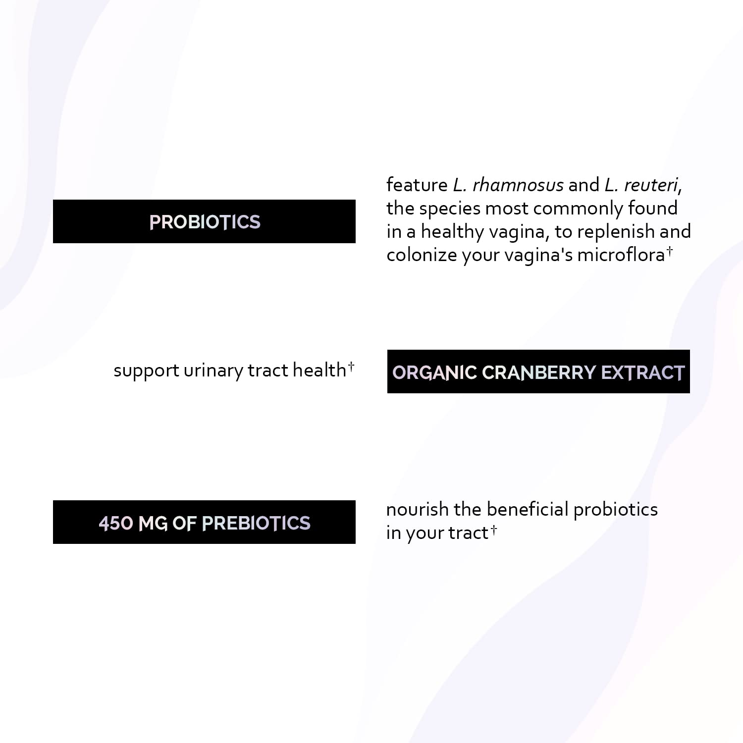 Undone By Nature Probiotic for Women, 50 Billion CFU Women's Probiotics with Prebiotics Undone By Nature Au supplements