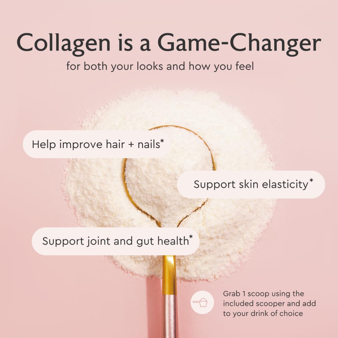 Alaya Multi Collagen Powder - Type I, II, III, V, X Hydrolyzed Collagen Peptides Protein Powder Supplement with MSM + GC (Unflavored) - NSF Certified - (40 Servings) Alaya Naturals buy supplements Au
