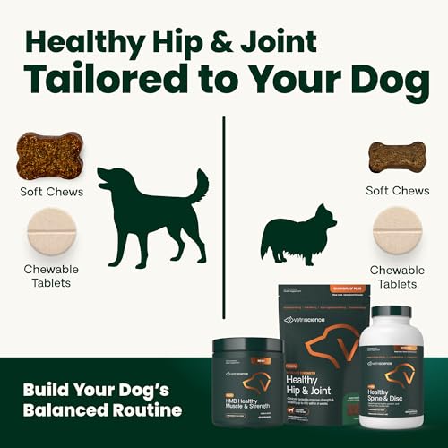 VetriScience Ultimate Strength Hip & Joint Supplement for Dogs, GlycoFlex Plus – MSM, Chondroitin & Green-Lipped Mussel Chews for Mobility, Flexibility, Comfort & Support, Peanut Butter Flavor 120 Cnt VETRISCIENCE Au supplements