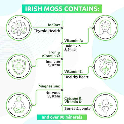 TrueSeaMoss Wildcrafted Irish Sea Moss Gel – Nutritious Raw Seamoss Rich in Minerals TrueSeaMoss Au supplements