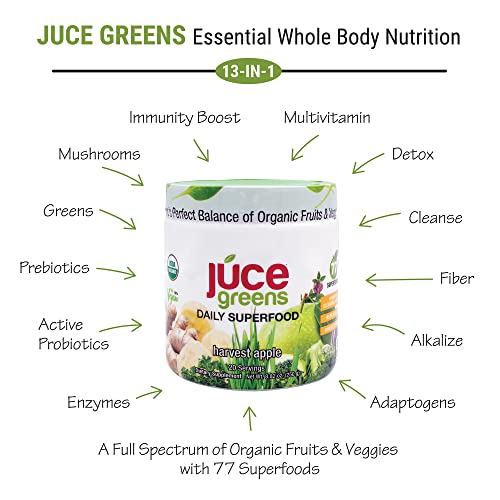 Terra Kai Organics JUCE Green Superfood Powder, Organic Fruits and Veggies Supplement Terra Kai Organics Au supplements