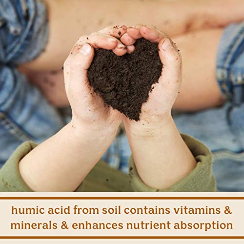 Solluna by Kimberly Snyder Feel Good SBO Probiotics Soil Based Organisms (SBOs) Solluna by Kimberly Snyder Au supplements