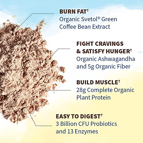 Garden of Life Raw Organic Fit Vegan Protein Powder Chocolate, 28g Plant Based Protein Garden of Life Au supplements