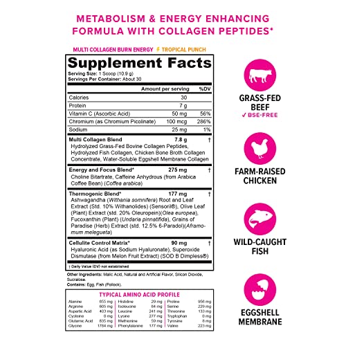 Multi Collagen Burn: Multi-Type Hydrolyzed Protein Peptides with Hyaluronic Acid, Vitamin Vitauthority Au supplements