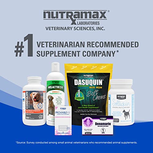 Nutramax Cobalequin B12 Supplement for Cats and Small Dogs, 45 Count (Pack of 1) Nutramax Laboratories Au supplements