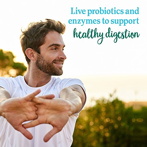 Garden of Life Perfect Food Super Green Formula - 14 Servings | 45 Superfoods, Greens Garden of Life Au supplements
