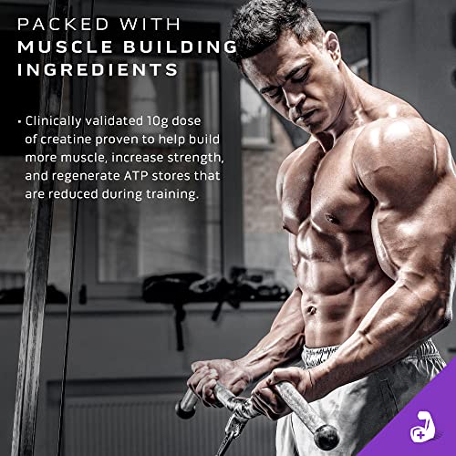 MuscleTech Mass Gainer Protein Powder, Mass-Tech Extreme 2000, Muscle Builder MuscleTech Au supplements