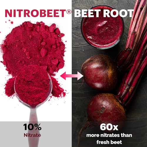 UpNourish Beet Root Powder Nitric Oxide Booster - L arginine L Citrulline Supplements UpNourish Au supplements
