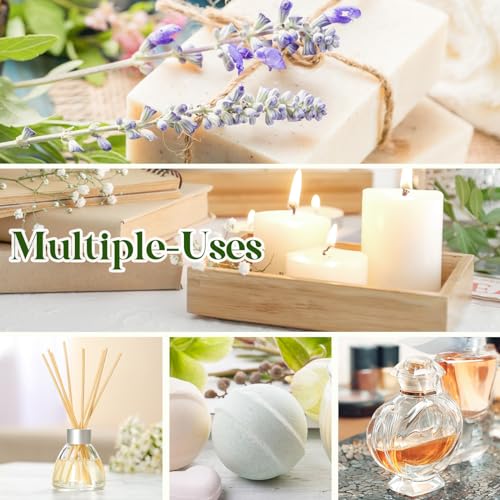 Essential Oils Set - 12 Pcs Aromatherapy Essential Oil Kit for Diffuser, Humidifier, Aromatherapy, Massage Aeshory Au supplements