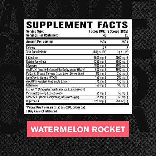 Jacked Factory Nitrosurge Max Nootropic Pre Workout Powder - Premium Pre Workout Jacked Factory Au supplements