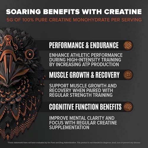 Birdman Falcon Performance Vegan Protein Powder, 31g Protein, 5g Creatine, 5g BCAA BIRDMAN Au supplements