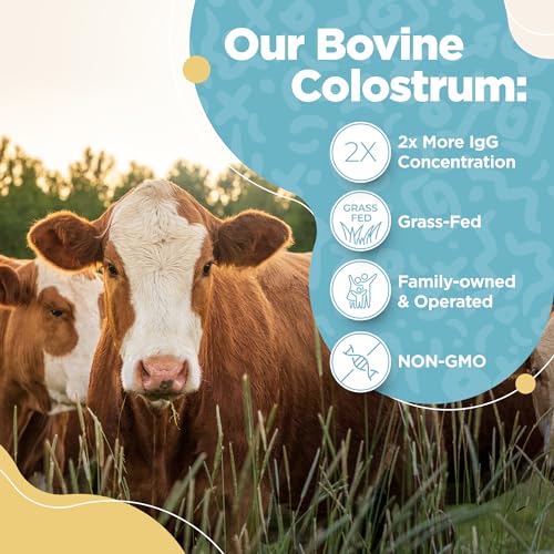 Bovine Colostrum Powder - 40% IgG Highly Concentrated Pure Bovine Colostrum InstaSkincare Au supplements